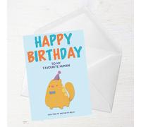 Happy Birthday To My Favourite Human! Cat Version Greetings Card - Standard Card