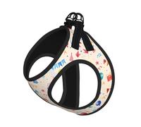 Happy birthday to you Print Dog Harness Vest for Small Pets M | Small Sized Leash Set Soft Light Puppy Breathable Mesh Reflective Training Walking Adjustable Circumference
