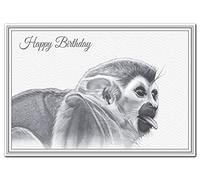 Happy Birthday Wishes for Men and Women. Fine Art Drawing Card for him or her. Giclée Print of a Hand Drawn Squirrel Monkey for Animal Lovers and Wildlife.