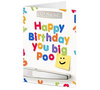HAPPY BIRTHDAY YOU BIG POO fridge message fun novelty humorous birthday greeting card