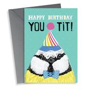 Happy birthday you tit! - funny blue tit bird card