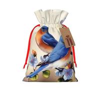 Happy Bluebirds Christmas Gift Bags with Tags & Ribbon Ties, Xmas Drawstring Candy Treat Bag Christmas Gifts Sacks Reusable Gift Wrapping Bags for Holiday Party Favors Medium