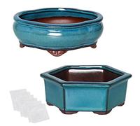 happy bonsai 5.7" 6" Small Glazed Pots Set of 2 + 6 Soft Mesh Drainage Screens
