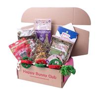 Happy Bunny Club Rabbit Treats & Rabbit Toys Christmas Hamper Bundle