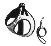Happy Campers Print Adjustable Harness Leash Set For Cats And Dogs, Soft Breathable Kitten Puppy Mesh Vest With Reflective Design, Escape-Proof Lead For Small Pets Walking Training