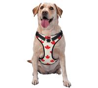 Happy Canada Day Pattern Dog Harness - Lightweight,Soft,Adjustable Small Harness and Leash Set, Suitable for Puppy Small and Medium-Sized Dog-X-Large