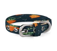 Happy Carrot Pet Collar, Adjustable Dog Collars with Buckle Stainless Steel D-Ring, Comfortable Collar for Small Medium Dogs and Cats