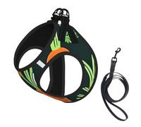 Happy Carrot Seamless Pattern Print Dog Harness,Pet Leash Vest For Small To Medium Dogs,Perfect For Outdoor Adventures