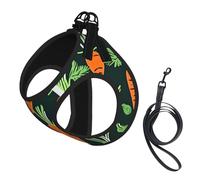 Happy Carrot Seamless Pattern Printing Dog Summer Harness With Leash Set,Adjustable And Reflective Step-In Puppy Pet Vest Harnesses