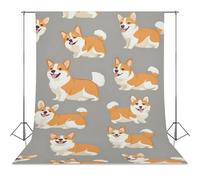 Happy Corgis Dogs Photo Backdrop Polyethylene Studio Background for Photography Video Broadcast Photoshoot