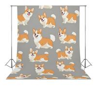 Happy Corgis Dogs Photo Backdrop Polyethylene Studio Background for Photography Video Broadcast Photoshoot