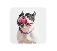 Happy Curious Dog French Bulldog,Acrylic Fridge Magnets Sticker Whiteboard Magnets for Kitchen and Furniture Decoration,Square