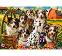 Happy Dogs In The Countryside