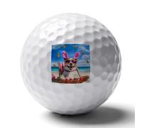 Happy Easter Dog Beach Butterfly Funny Printed Golf Ball Personalized Practice Balls Cool Accessories Gifts for Golfers Dads Men Women