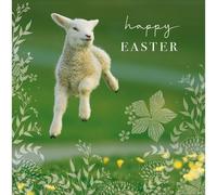 Happy Easter Spring Has Sprung Cute Easter Greeting Card