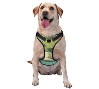 Happy Frog In The Pool No Pull Dog Harness Adjustable Reflective Oxford Easy Control Medium Large Dog Harness