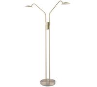 Happy Homewares Double Arm Nickel Floor Lamp with Dimmer and Colour Control Warm-Cool White