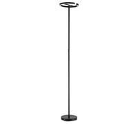 Happy Homewares Rgb And Cct Modern Led Halo Ring Black Floor Lamp With Remote Control