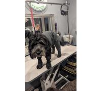 Happy Hounds of Haworth Aqua Fleece Dog Coat, Water Resistant, Adjustable with Leash Hole, Machine Washable (Grey, XS)