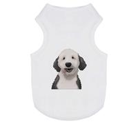 'Happy Labradoodle' Pet Dog/Cat T-Shirt (PT00141435)