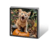 Happy Little Cat Lapel Pin Fashion Brooch Pin Cute Button Badges Square Button Pins Enamel Pins Metal Pinback for Hat Shirt Clothing Bags Decoration