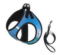 Happy Penguin In The Water Print Pet Leash Vest,Breathable Mesh Pet Harness, Reflective For Small Medium Dogs Safe Easy Walking