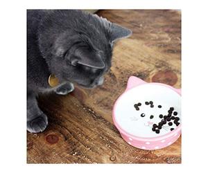 Happy Pet Polka Dot Cat Bowl (One Size) (Pink)