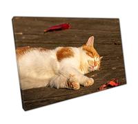 Happy Relaxed Ginger And White Cat Resting On A Wooden Floor In The Golden Sun Wall Art Print On Canvas Picture For Home Office Decor 76x51cm (30x20In)