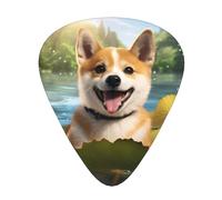 Happy Shiba Inu guitar pick set, 3 different thicknesses, 12 pieces for a variety of instruments