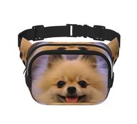 Happy Short-Haired Dog Square Double Layer Waist Bag Belt Fanny Pack Purse with Adjustable Strap, Running, Travel, Hiking