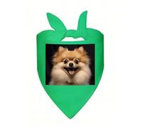 Happy Short-haired Pomeranian Dog Bandana Soft Breathable Polyester Triangle Scarf for Small to Large Dogs Cats Comfortable Pet Bibs for Daily Wear Party Wedding Birthday Pet Accessories
