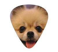 Happy Short-Haired Pomeranian Printed,12 Pcs Guitar Pick,3 Different Thickness Plectrums for Acoustic Guitar Bass Ukulele (0.46mm 0.96mm 0.71mm)