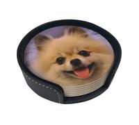Happy Short-Haired Pomeranian Printed,Set of 6 Round Coasters, Pu Leather Drinks Coasters with Holder for Home Office Kitchen