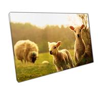 Happy Spring Lambs Baby Sheep Bravely Exploring Farmland Fields Wild Animals Cute Wall Art Print On Canvas Picture For Home Office Decor 61x41cm (24x16In)