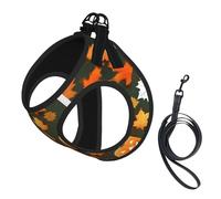 Happy Thanksgiving Day Pumpkin Print Small Dog Harness with Leash Set, No Escape Easy Walk Puppy Harnesses for Training Walking