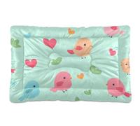 Happy Valentine Cartoon Cartoon Bird Green Washable Dog Bed Mat Soft Anti-Slip Dog Cat Bed for Large Jumbo Medium Small Dogs 36" x 24"