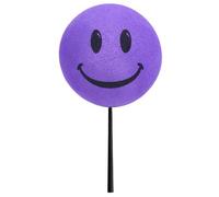 HappyBalls Happy Purple Smiley Face Car, Truck, or SUV Antenna Ball/Antenna Topper (Auto Accessory)