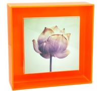 HappyDino 8x8 Acrylic Picture Frame for Wall and Tabletop Neon Floating Photo Frame with Decorative Bright Color, Neon Orange