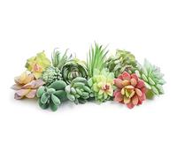 HappyHapi 12 Pcs Artificial Succulents Mini Fake Plants Unpotted Faux Succulent for Craft, Small Plastic Succulents Assortment in Flocked Green Floral Decor for Party, Cake, Garden & Outdoor