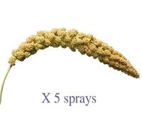 Happypet® Caged Bird Millet Perch with Bells Budgies Canaries Cockatiels Conures Cockatoos (5 x Sprays of Millet)