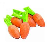 HAPPYPET Critter's Choice Carrot Nibblers 6pc Small Animal Chew Toy Gnaw