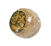 HAPPYPET Forage Filled Coconuts for Small Animals 100% Natural Treat High Protein Snack Nutritious Healthy Tasty for Rabbits, Guinea Pigs and Hamsters