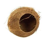 Small Pet Toy Coconut Hut