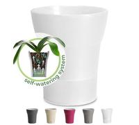 Happyplants DALI-DEA Clear Orchid Self-Watering Flower Pot Planter With Water Level Indicator Water Reserve And Drainage Holes (Transparent, Ø 15CM - 2L)
