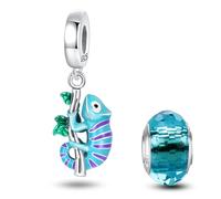 HappyStar 925 Sterling Silver Charms for Bracelets and Necklace Butterfly Music Dangle Pendants Heroes Beads Charms Jewelry Gift for Women Compatible Pandora European Bracelets(With Spacer Beads)