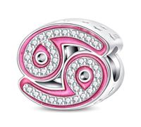 HappyStar Charm Letter A~Z Charms Pendant Silver 925, 12 Zodiac Birthday Bead Charms for Women, Pink Gift, Fits Pandora European Bracelets and Necklaces, Sterling Silver Cubic Zirconia