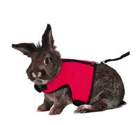Happyyami Adjustable Rabbit Harness Leash for Yorkshire Terrier Mini Dachshund Breathable Comfortable Size l