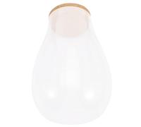 Happyyami DIY Micro Landscape Terrarium Glass Bottle with Cork Stopper Ecological Container for Moss Plants and Flowers Indoor Greenery Decor for Home Office Garden Patio