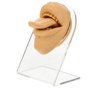 Happyyami Face Model Training Piercing Practice Simulation Tongue Body Part Tongues Septum Piercing Fake