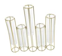 Happyyami Hinged Flower Vase Glass Test Tubes Flexible Hydroponic Plant Propagation Station for Home and Office Decor Metal Stand for Stylish Floral Arrangements